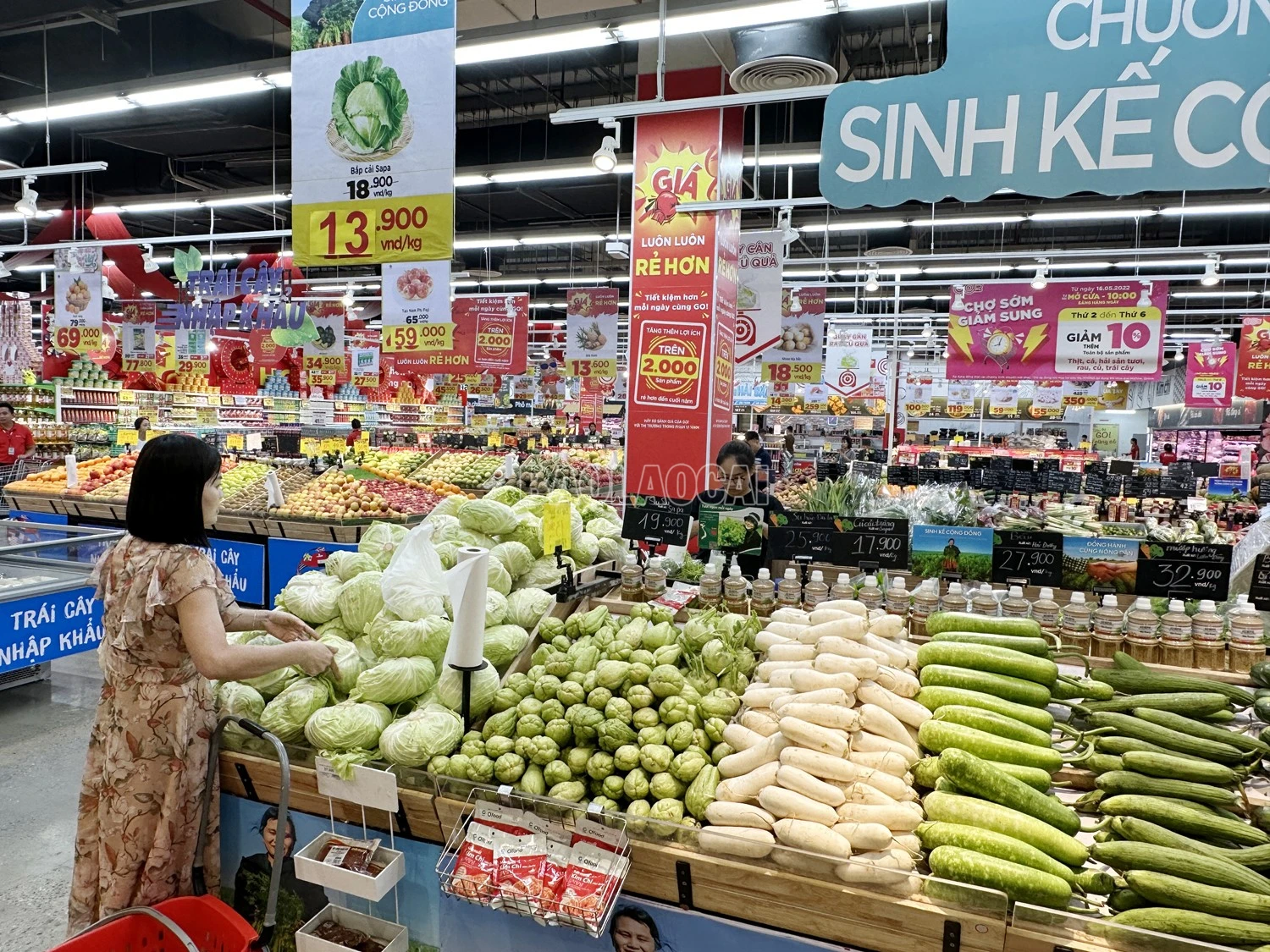 baolaocai-c_img-1737.jpg