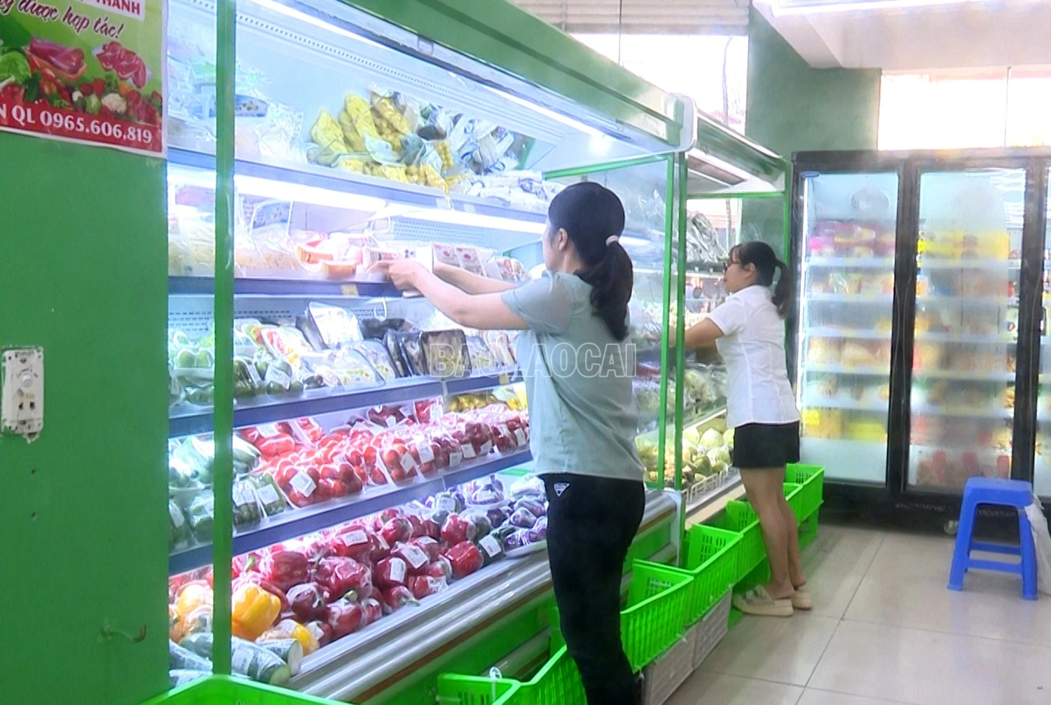 baolaocai-c_a1.jpg