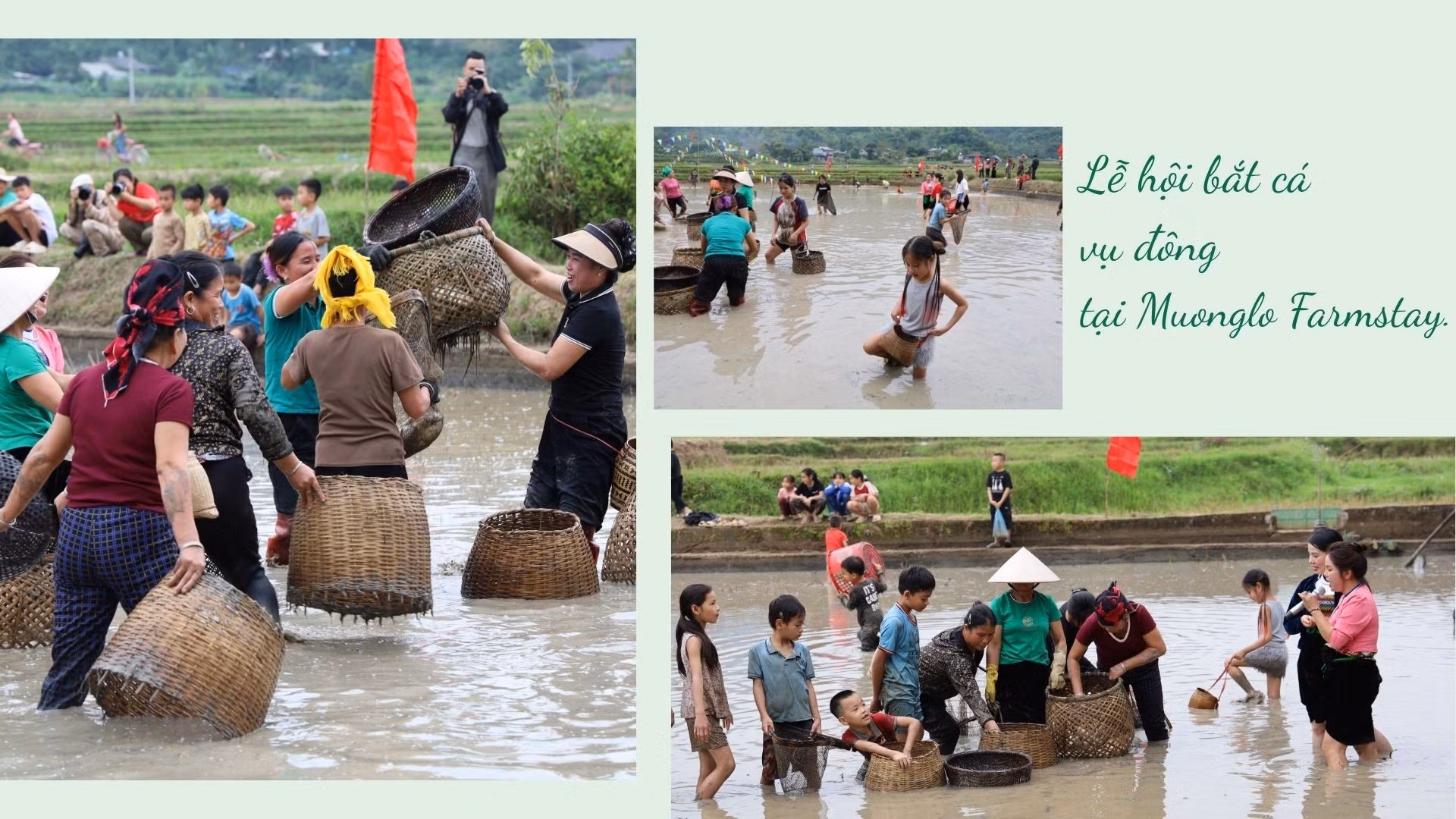 ban-muong1.jpg