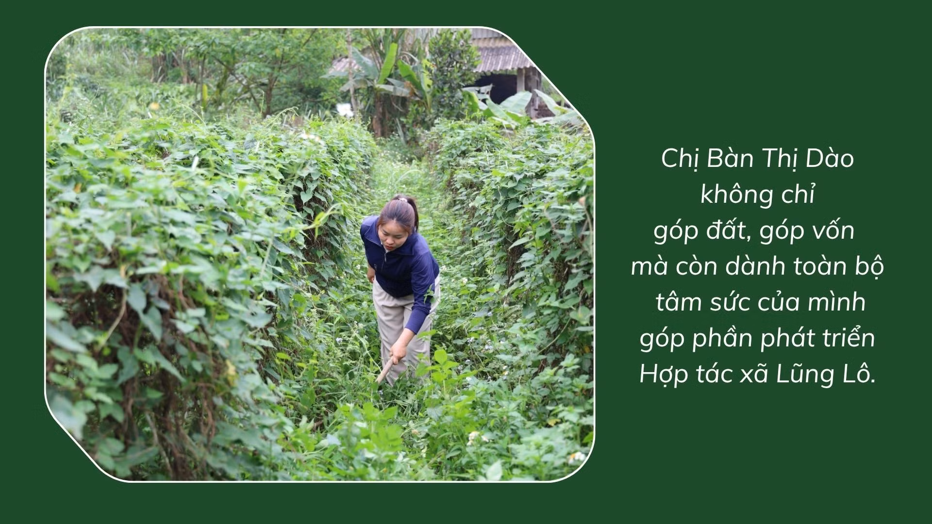 ban-thi-dao-8.jpg