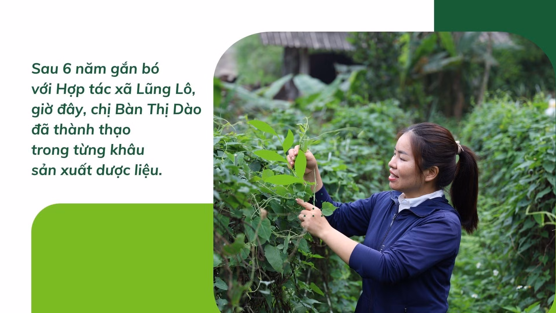 ban-thi-dao-6.jpg