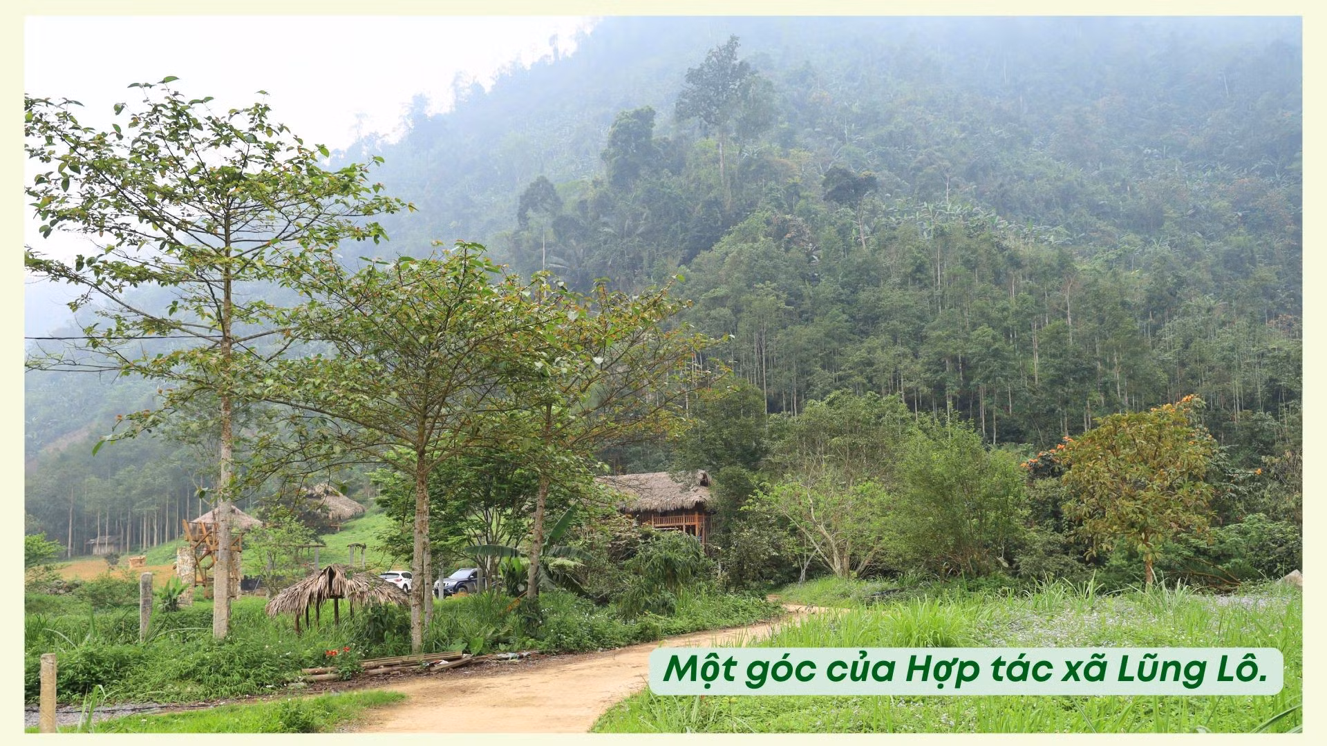 ban-thi-dao-4.jpg