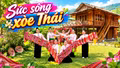 Sức sống xòe Thái 