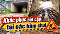 Cần khắc phục bất cập tại các hầm chui khi nâng cấp cao tốc Nội Bài - Lào Cai 