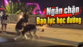 Cần sớm có giải pháp ngăn chặn bạo lực học đường