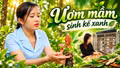 Người gieo mầm sinh kế xanh nơi vùng cao