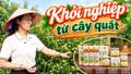 Khởi nghiệp thành công từ cây quất