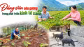 Đảng viên nêu gương trong phát triển kinh tế xanh