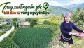 Truy xuất nguồn gốc bắt đầu từ vùng nguyên liệu