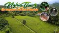 Nghĩa Tâm tập trung phát triển kinh tế hàng hóa