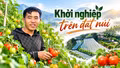 Từ ruộng bậc thang đến những chùm cà chua chín đỏ
