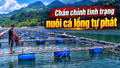 Chấn chỉnh nuôi cá lồng tự phát trên hồ thủy điện Bắc Hà
