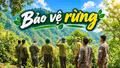 Những người giữ màu xanh cho đại ngàn