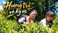Hương trà và ký ức