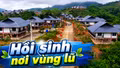 Hồi sinh nơi vùng lũ