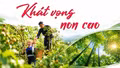 Khát vọng non cao