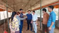 Lào Cai đẩy nhanh giải ngân chính sách hỗ trợ phát triển chăn nuôi hàng hoá