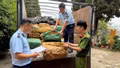 Đẩy mạnh truy xuất nguồn gốc sản phẩm, hàng hóa