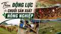 Thêm động lực cho chuỗi sản xuất nông nghiệp