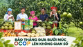 Bảo Thắng đưa bưởi Múc OCOP lên không gian số