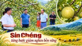 Sín Chéng từng bước giảm nghèo bền vững