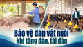 Bảo vệ đàn vật nuôi khi tăng đàn, tái đàn