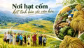 Nơi hạt cốm kết tinh bản sắc văn hóa