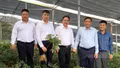 Phó Bí thư Thường trực Tỉnh ủy Hoàng Giang tham dự các hoạt động "Lễ hội mùa vàng", thăm mô hình sâm Ngọc Linh tại Mù Cang Chải