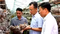 Phó Chủ tịch UBND tỉnh Lào Cai Nguyễn Thành Sinh thăm các mô hình phát triển kinh tế tại Púng Luông