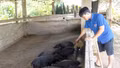 Vốn ưu đãi tiếp sức thanh niên Khao Mang khởi nghiệp