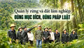 Quản lý rừng và đất lâm nghiệp đúng mục đích, đúng pháp luật