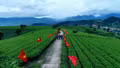 Xã Bảo Yên và phường Trung Tâm: Sôi nổi hoạt động văn hóa, thể thao chào mừng Quốc khánh 2/9