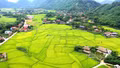 Giữ hồn Then, ngân điệu Tính nơi thượng nguồn sông Chảy