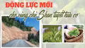 Động lực mới cho vùng chè Shan tuyết hữu cơ