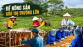 Để nông sản vào thị trường lớn