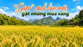 "Gieo" cách làm mới, gặt những mùa vàng