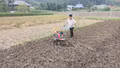 Lâm Thượng tăng tốc sản xuất vụ đông, bảo đảm khung thời vụ