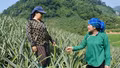 Phát huy vai trò “hạt nhân” của bí thư chi bộ