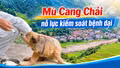 Mù Cang Chải chủ động kiểm soát bệnh dại