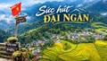 Sức hút đại ngàn
