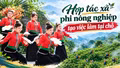 Hợp tác xã phi nông nghiệp tạo việc làm tại chỗ