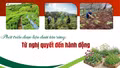 Từ nghị quyết đến hành động