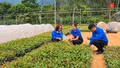 Xây dựng hình mẫu thanh niên trong kỷ nguyên mới