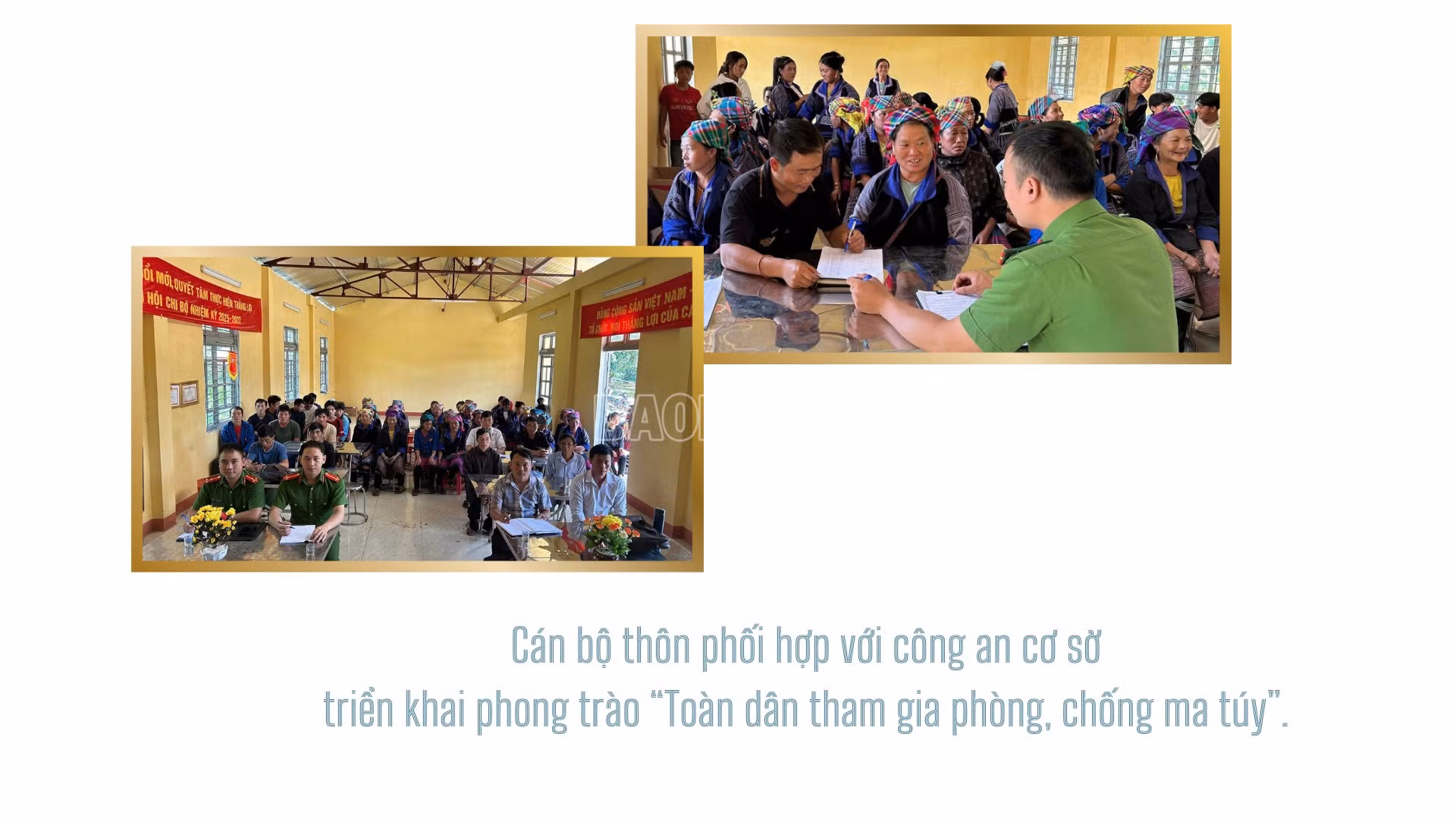 baolaocai-c_4-9354.png