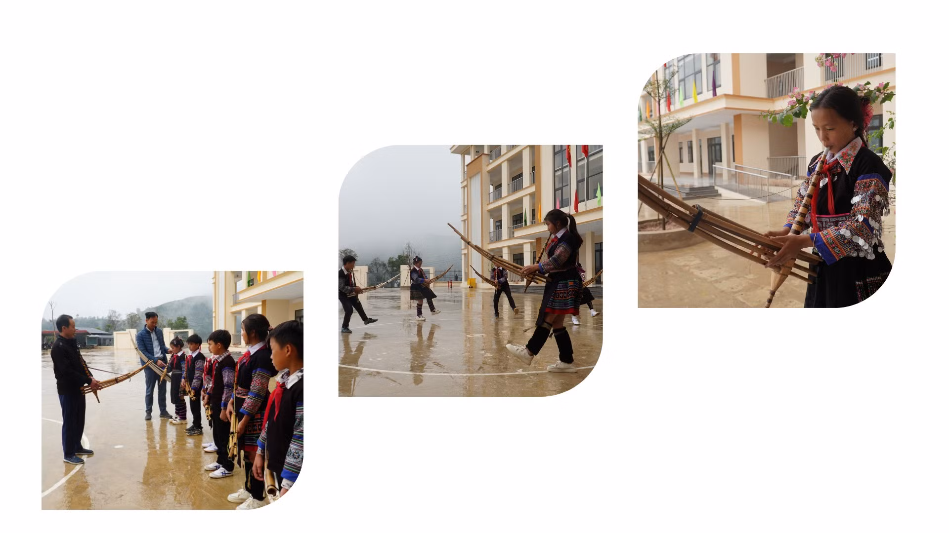 baolaocai-tr_2.png