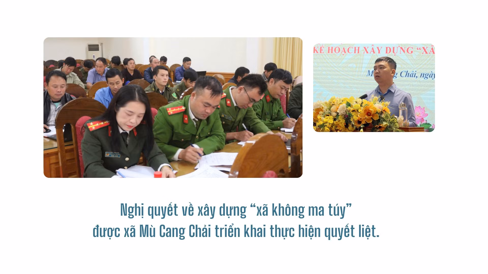 baolaocai-tr_2-4456.png