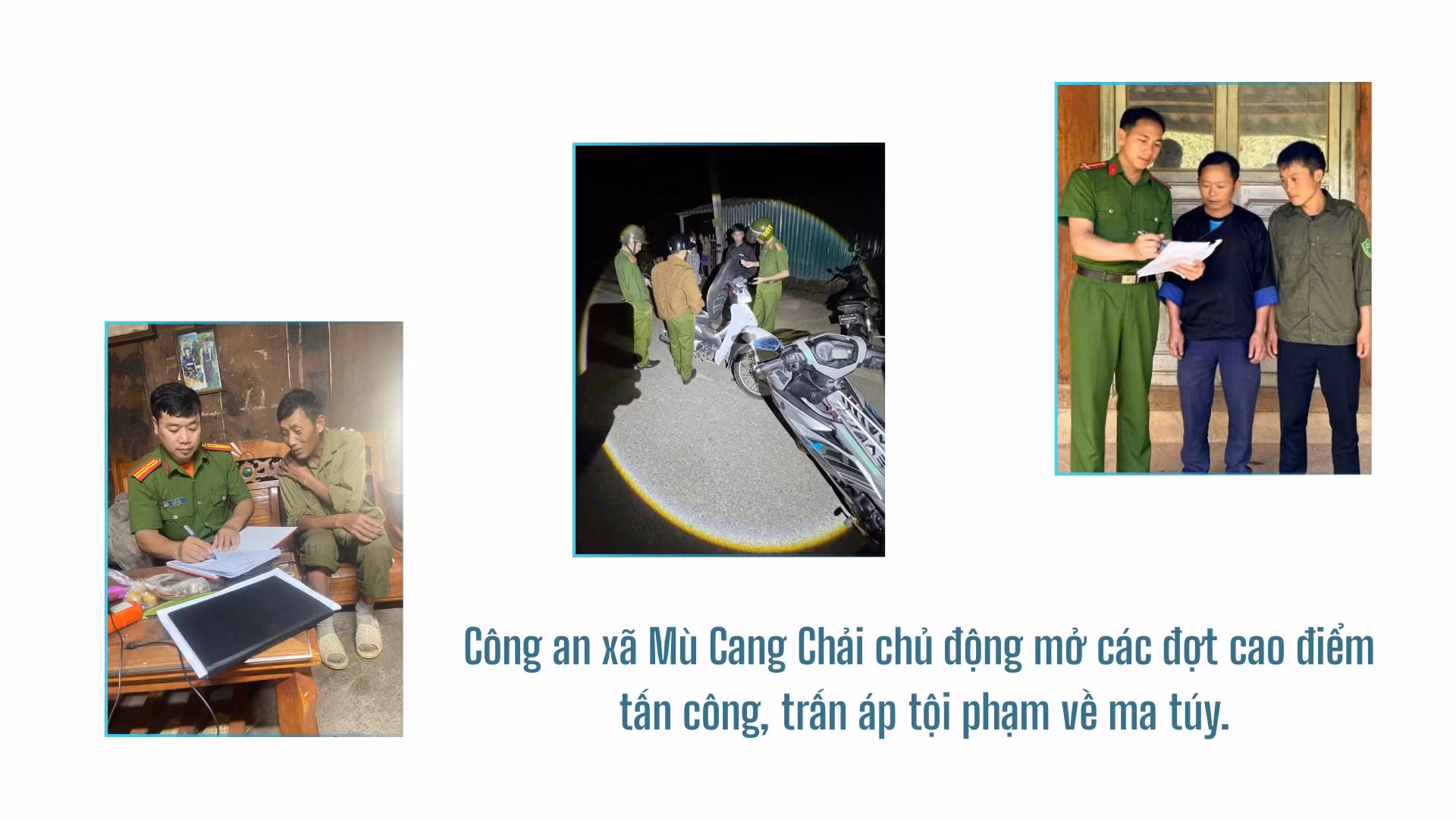baolaocai-tr_3-5102.png