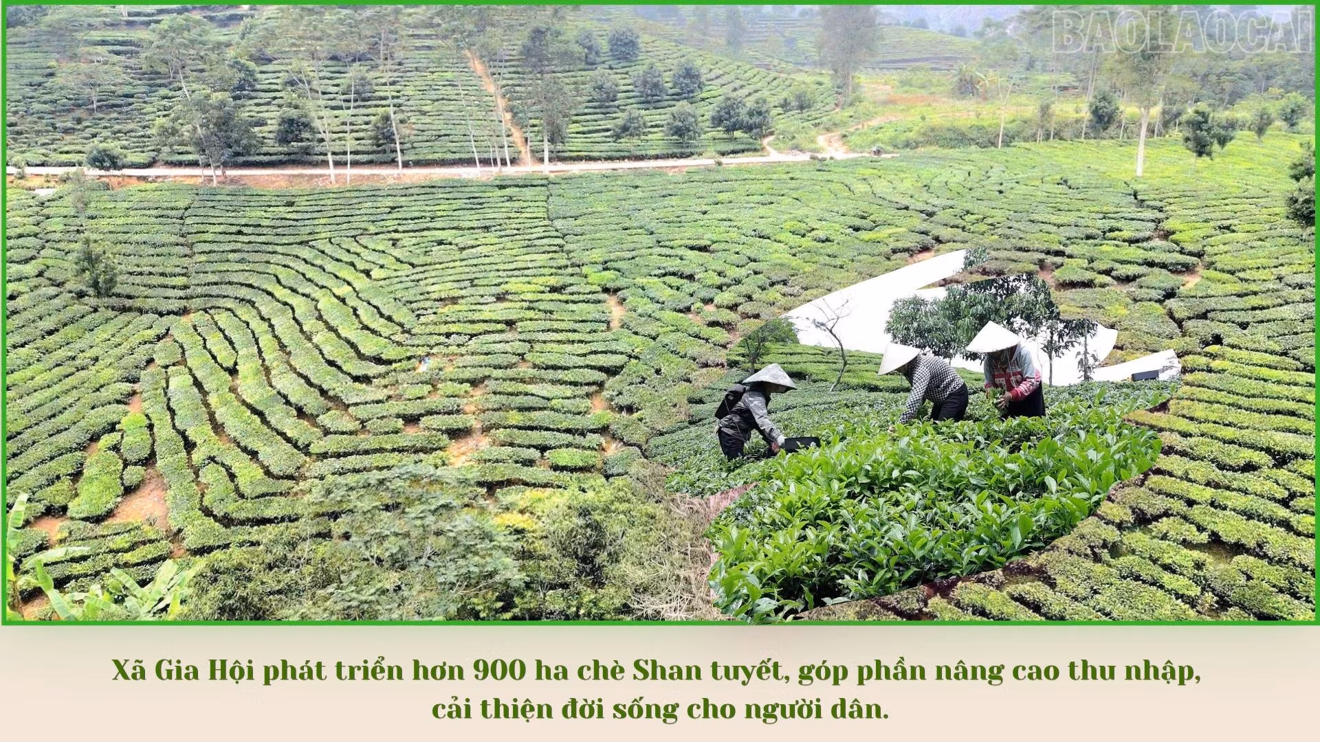 baolaocai-tr_xanh-vang-va-trang-hien-dai-du-lich-nghe-an-thuyet-trinh-3.jpg