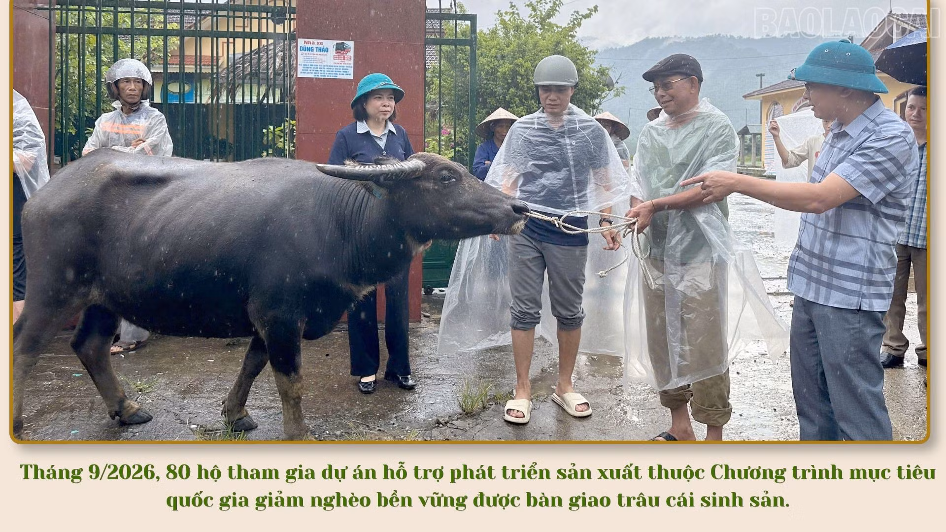 baolaocai-tr_xanh-vang-va-trang-hien-dai-du-lich-nghe-an-thuyet-trinh-2.jpg