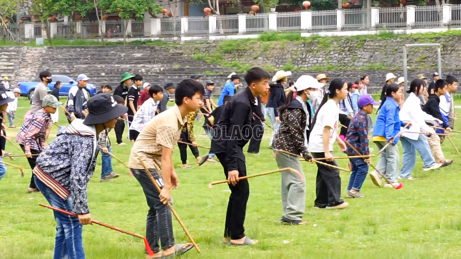 baolaocai-c_mua-gay-03.jpg